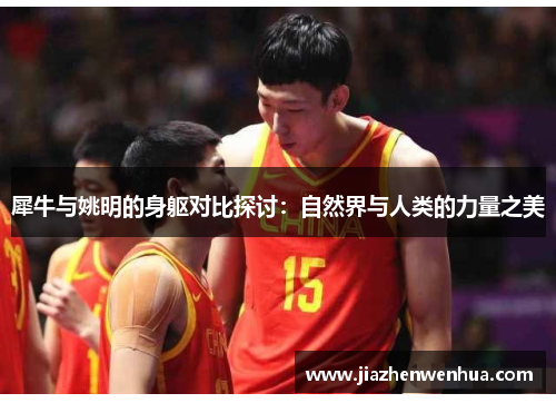 犀牛与姚明的身躯对比探讨：自然界与人类的力量之美